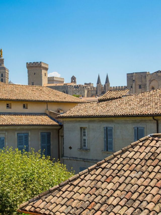 🏰✨ Avignon's Finest: Historic Charm Meets Modern Luxury 🌟