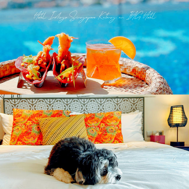 新加坡Hotel Indigo Singapore Katong：個性化設計，豐富多彩的住宿體驗