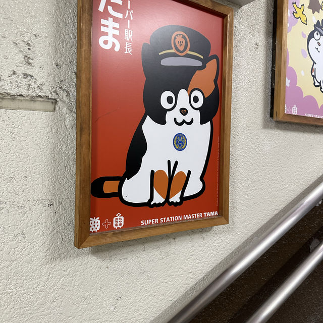 Visit a stationmaster cat!