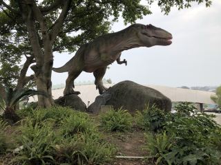 Oh my god! The dinosaurs are so big, walking into the Zigong Dinosaur Museum!