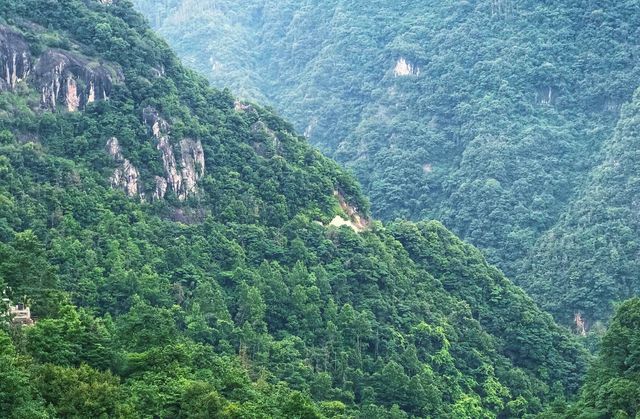 江浙沪福建周邊親子遊寶藏避暑地：溫州泰順雲嵐牧場超全避暑攻略