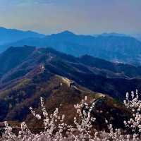 Beijing in Bloom!