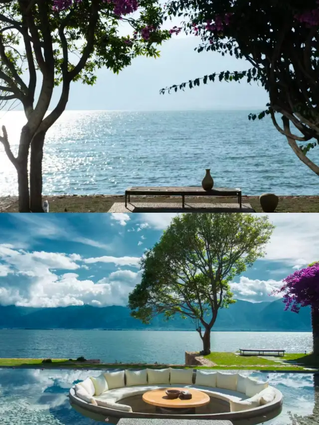 For a tree, I encountered the spring of Dali at the Liubai Villa, with a sea view