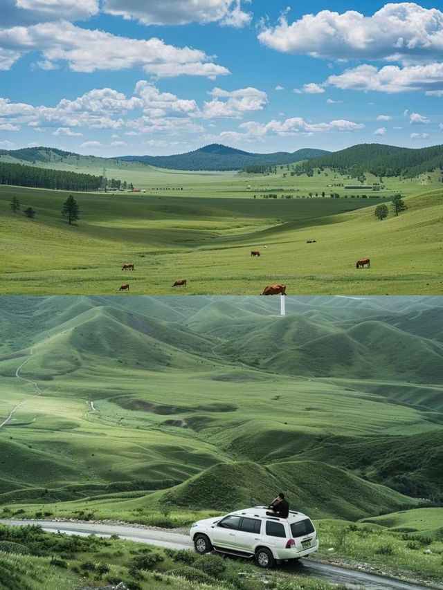 20℃的草原也太美了吧——張北大草原