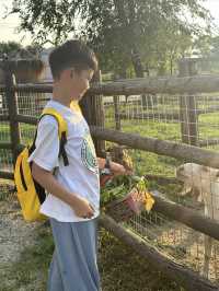 這度假村遛娃性價比絕了