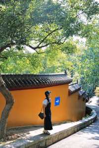 武漢市內冷門公園 ！地鐵直達治癒徒步路線