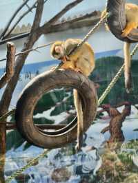 西安秦嶺野生動物園。