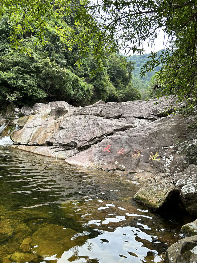 十萬大山森林公園