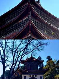 四川大觀樓位於四川省宜賓市翠屏區西街2號。