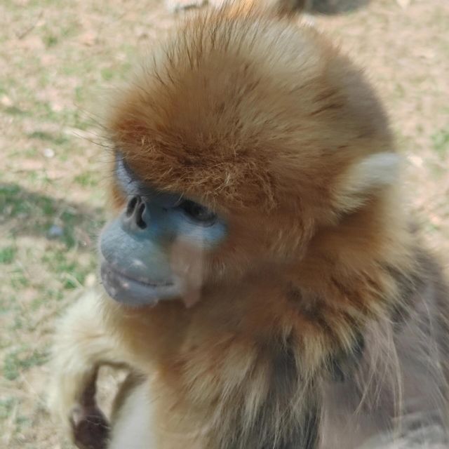 濟南野生動物世界｜與大自然的奇妙約會。