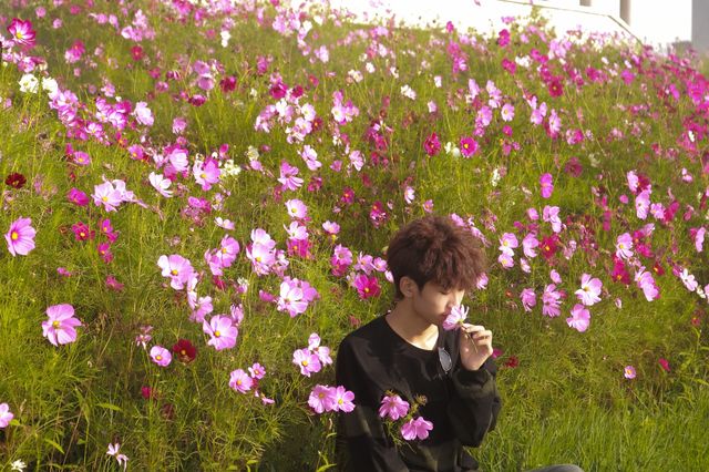 貴陽周邊遊-花溪高坡雲頂花海🪻。