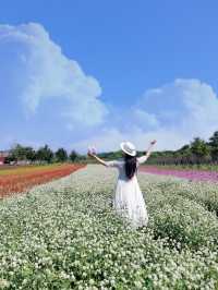 國慶南京去哪兒？冷門賞花勝地實況。