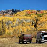 Colorado Fall Colors 