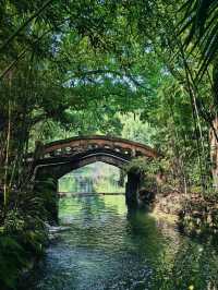 望江樓公園（含停車地圖）花與不花詳解。