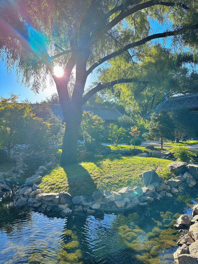 朋友圈以為我去了京都。