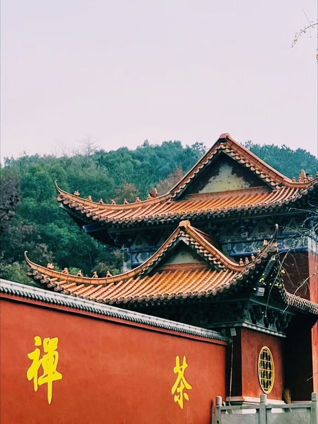 霜染紅葉，潑染山紅，景色瑰麗如畫。