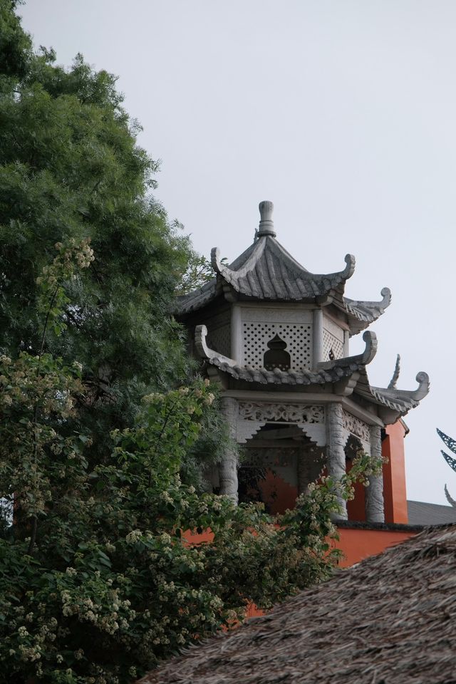 西昌｜去大石板村。