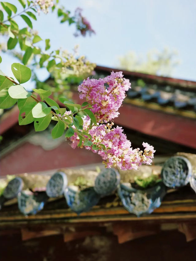 韓文公祠：寧靜一角。