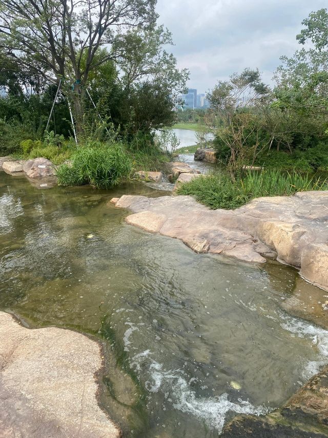 上海雙子山｜一座跟上海沒有關係的山。