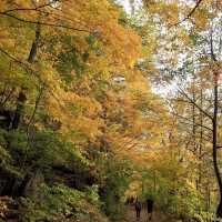 The Mysterious Town in Wisconsin