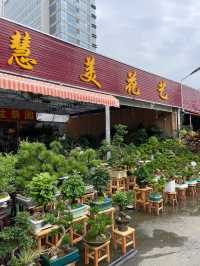 坪洲花市‖逛完花市來特產店買點。