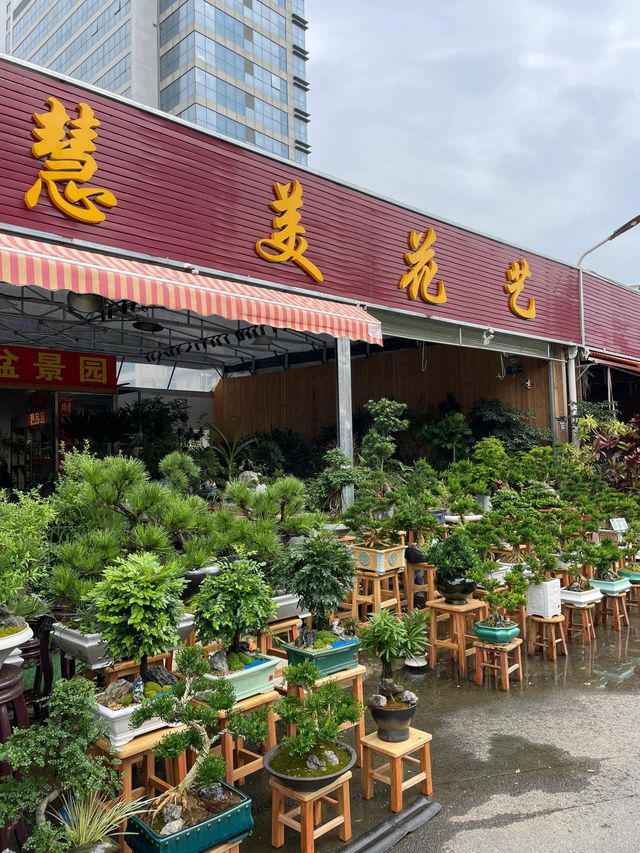 坪洲花市‖逛完花市來特產店買點。