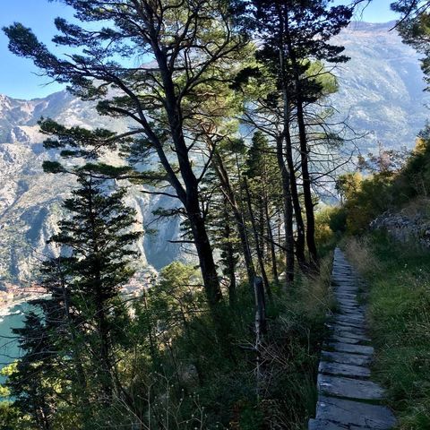 弗拉西奇山：黑山的隱秘風光寶地 。