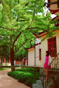 一座堪稱歷史建築博物館的大學。