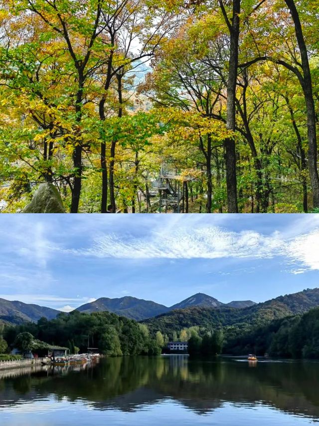 金秋十一月來金頂山，金頂山一票通活動開始啦！