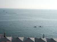 深圳大鵬旅遊攻略：海灘與自然的完美融合 🌊