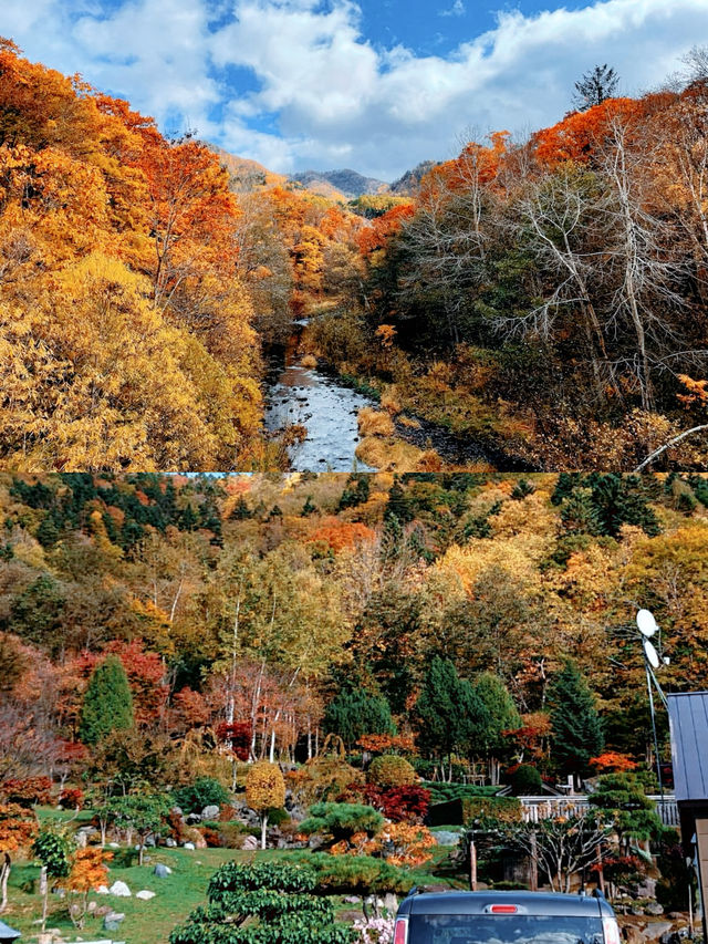 札幌賞楓圖鑑：豐平峽溫泉。