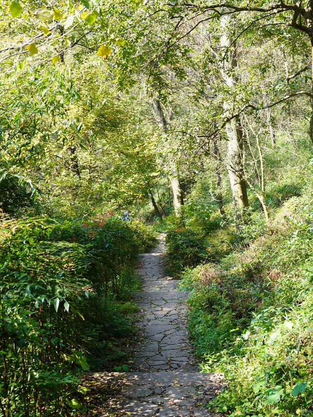 南京老山森林公園 | 親子秋遊寶藏地 。