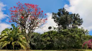 Aberdare National Park, the home of God. 