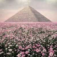 冷酷仙境,極地孤行