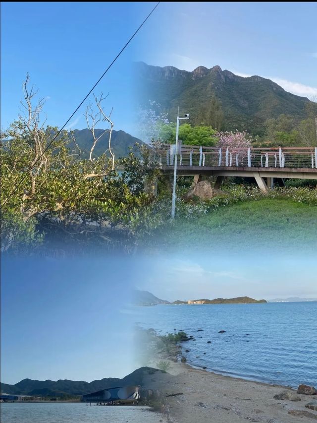 深圳白沙灣公園|邂逅自然之美,重拾生活。 深圳白沙灣公園|邂逅自然之美,重拾生活。