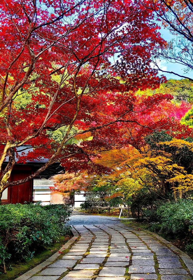 京都西芳寺。