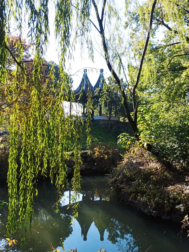 蘇州第六十五園