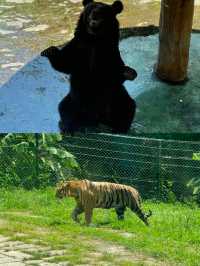 深圳｜野生動物園