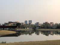 陳村新開發的公園！露營釣魚放風箏踩單車一園俱全