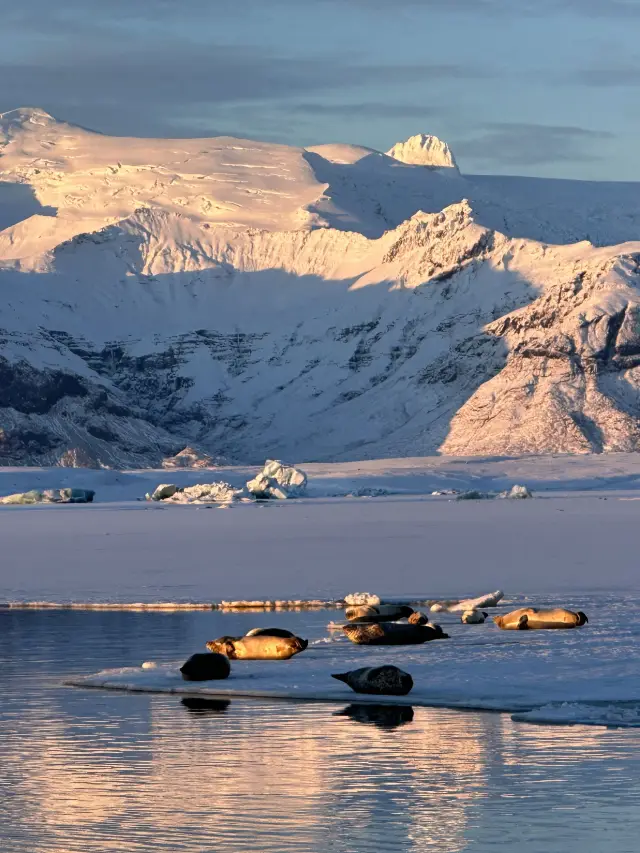 11일 북유럽 다국 여행 초상세 가이드 실수 없이 즐기기