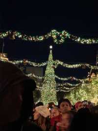 Disneyland🎄