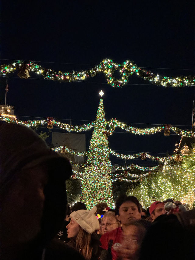 Disneyland🎄