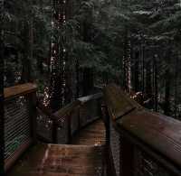 Explore the Iconic Capilano Suspension Bridge Park in Vancouver