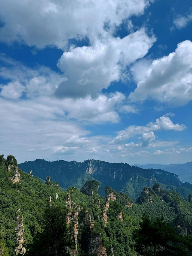 湖南省張家界天子山‖山頂奇觀