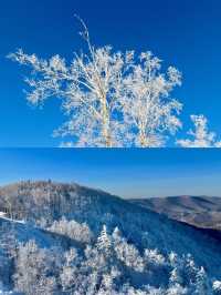 過年暢遊安圖 3日玩轉美景