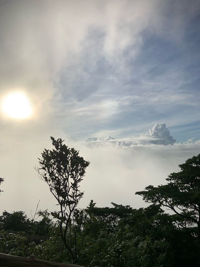綿陽羅浮山｜挑戰孫悟空的五指山