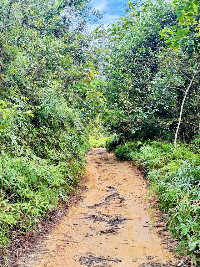 Batu Bertenggek半日遠足·吉隆坡週末