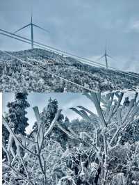 【清遠雲冰山，冰雪奇緣的夢幻之地】