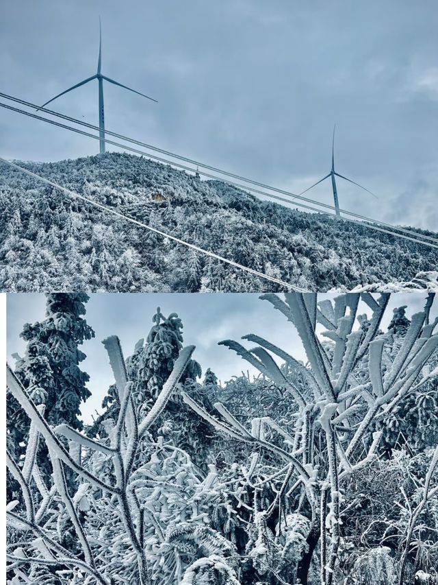 【清遠雲冰山，冰雪奇緣的夢幻之地】