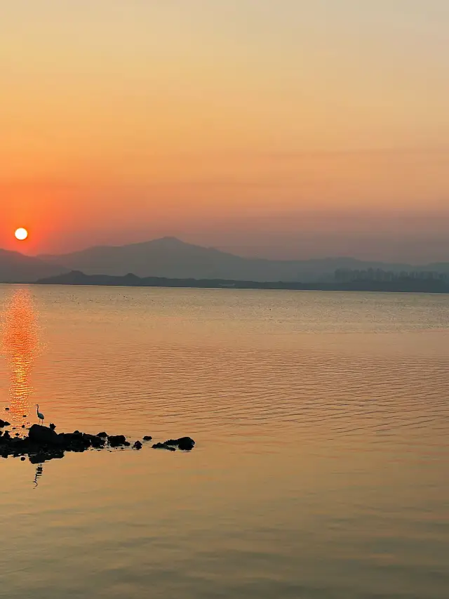 Popular Guangzhou-Shenzhen-Zhuhai Tour for the New Year: Light Up Your Holiday Life
